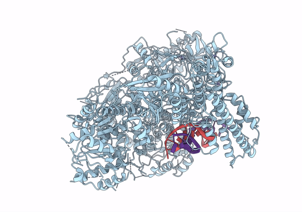 7T02 image
