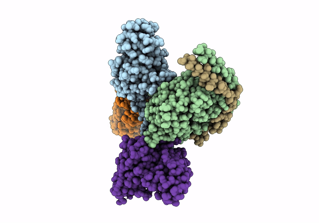 7T10 image