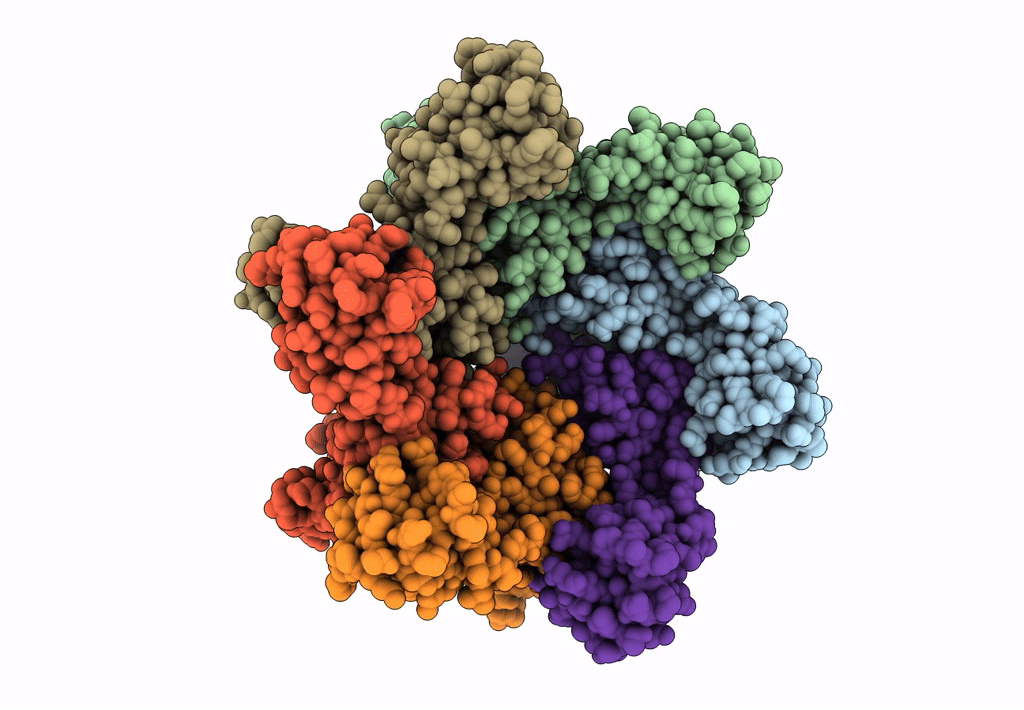 7T13 image
