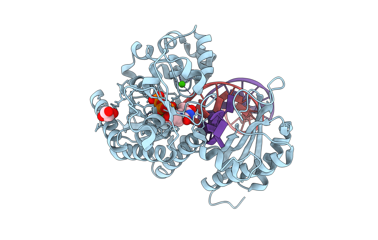 7T18 image