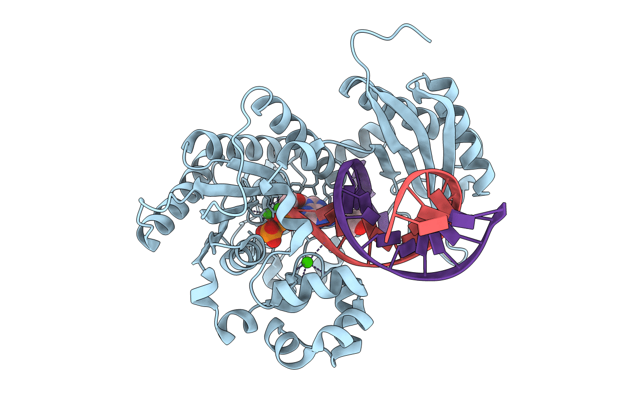 7T1A image