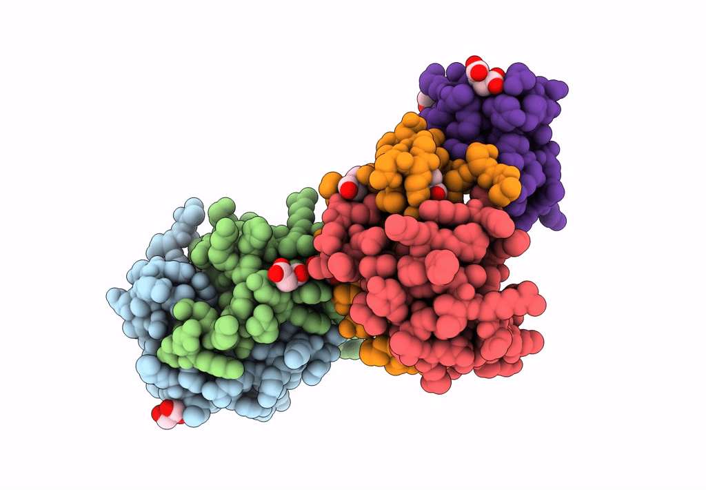 7T1E image