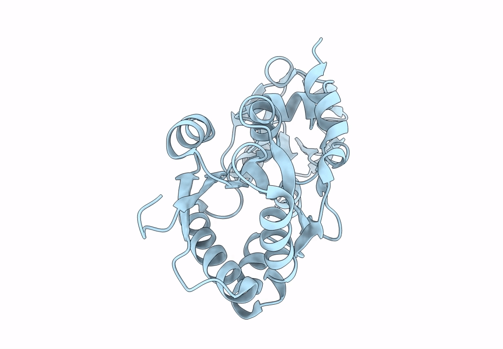 7T1M image
