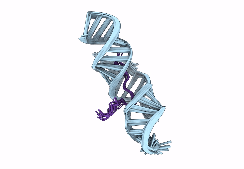 7T1N image