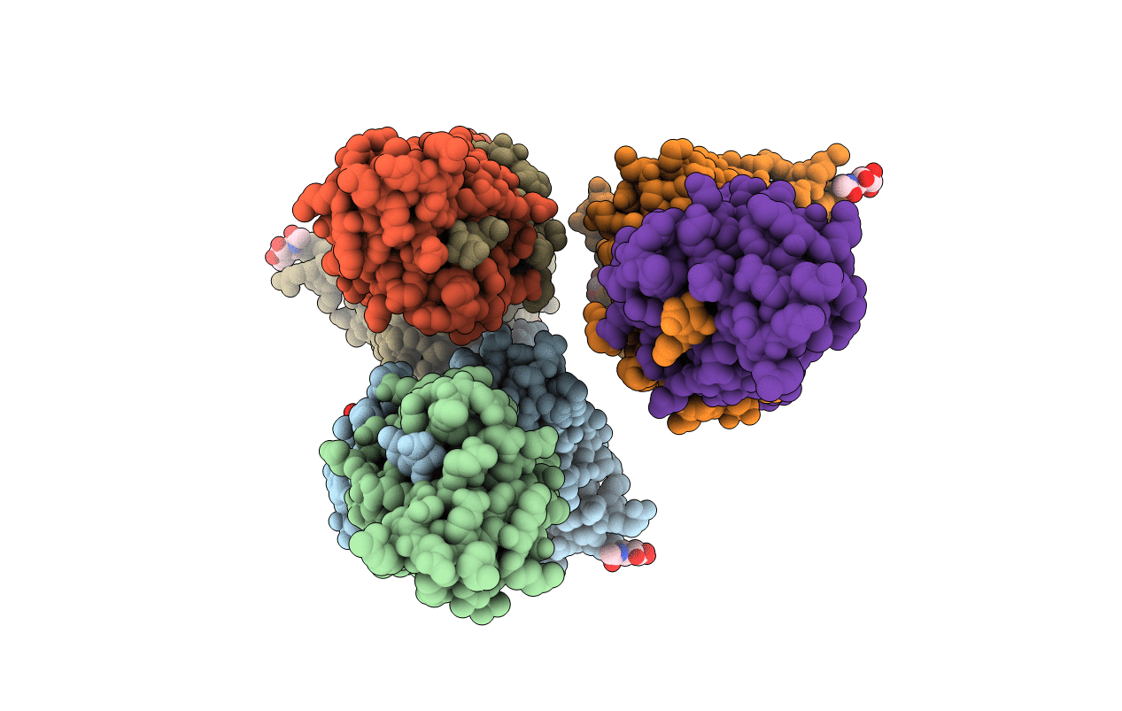 7T1V image