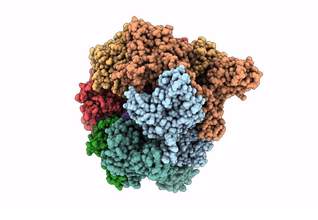 7T20 image