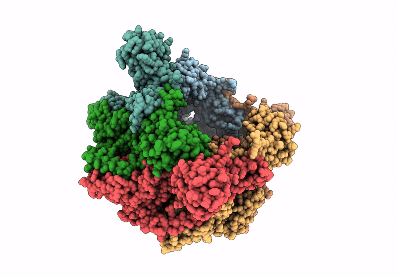 7T21 image