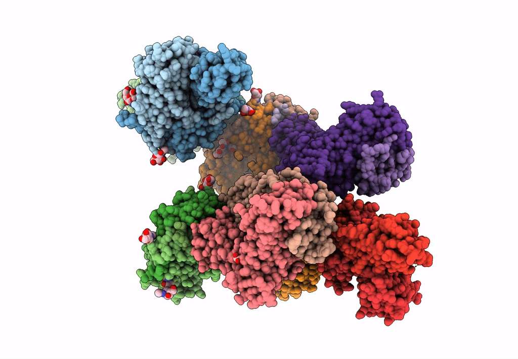 7T2B image
