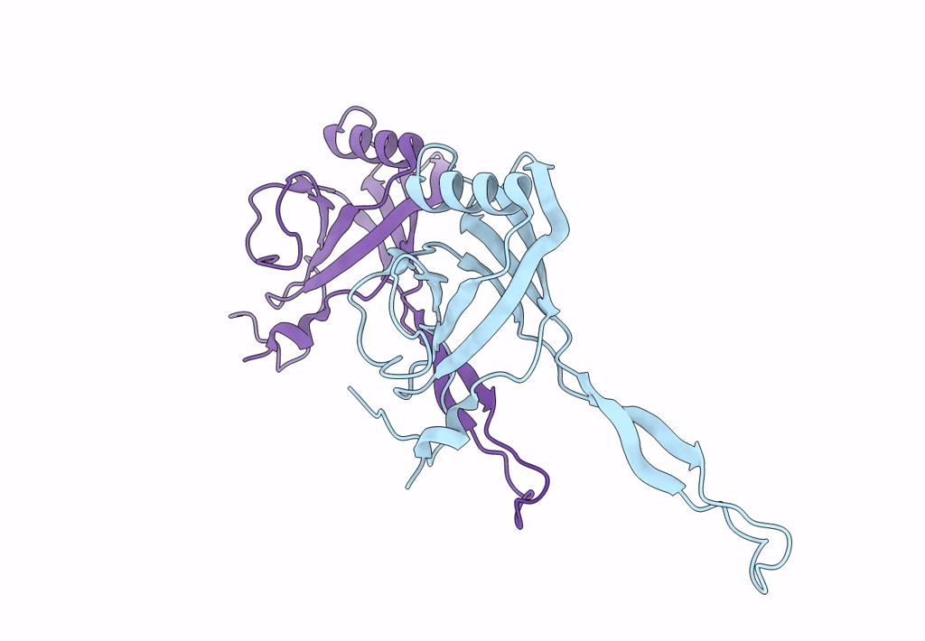 7T2E image