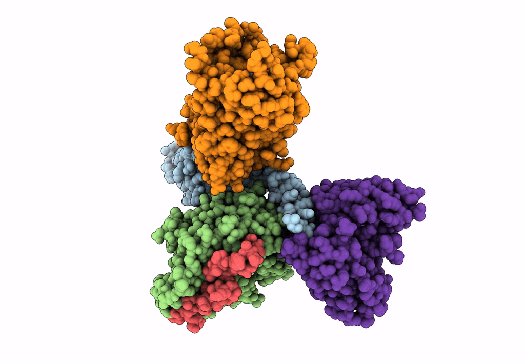 7T2H image