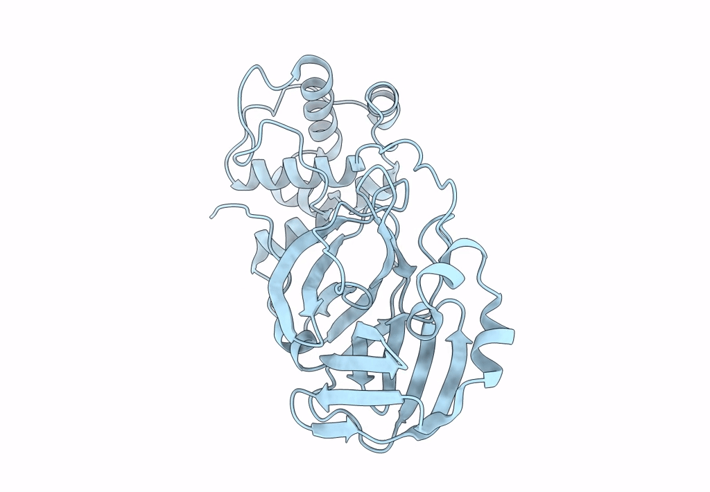 7T2T image