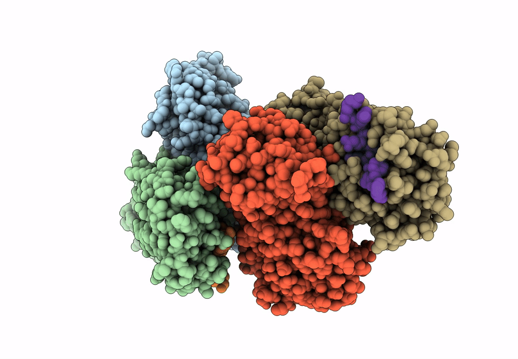 7T2U image