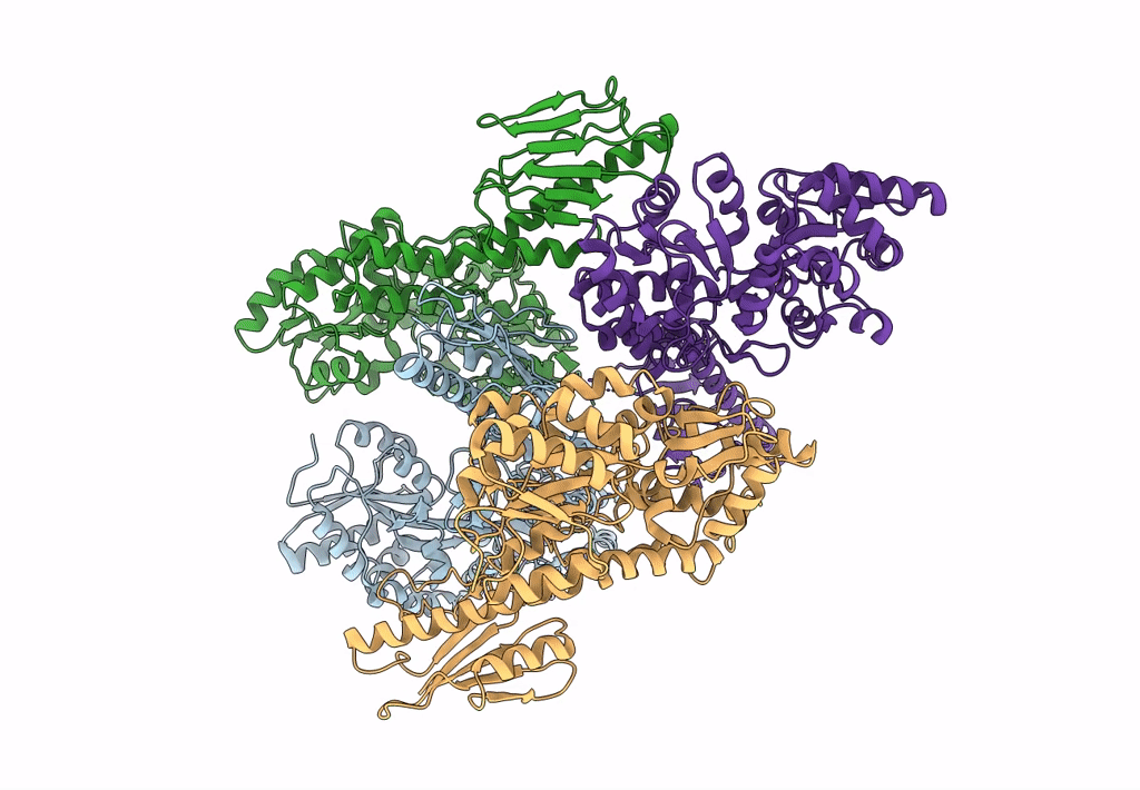 7T31 image