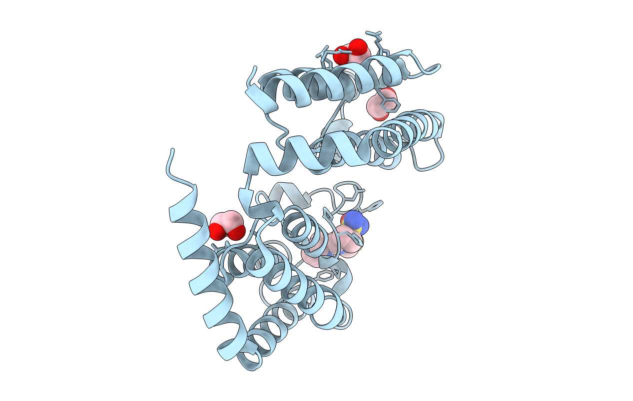 7T36 image