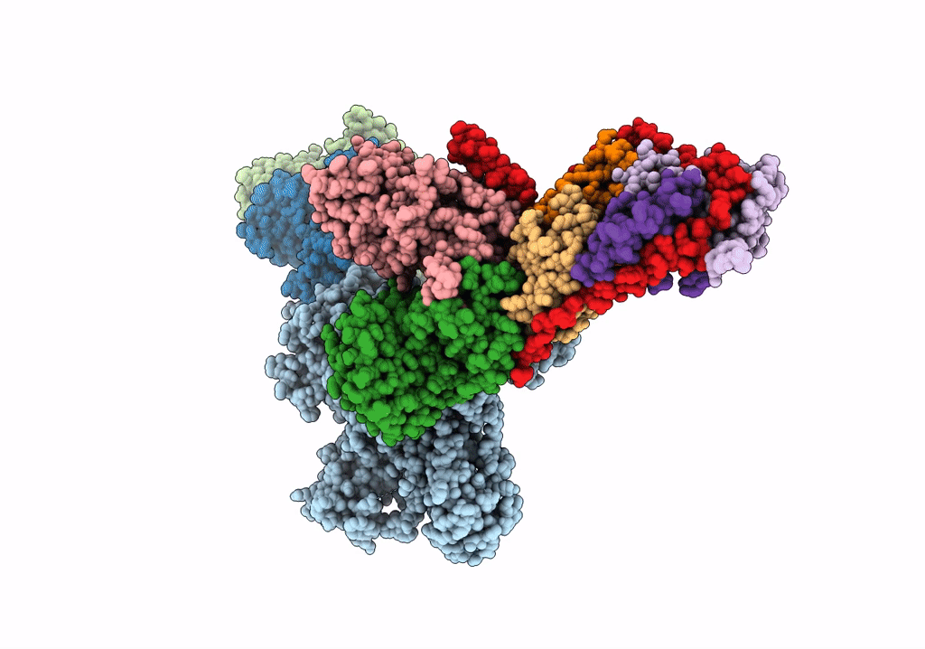 7T3A image