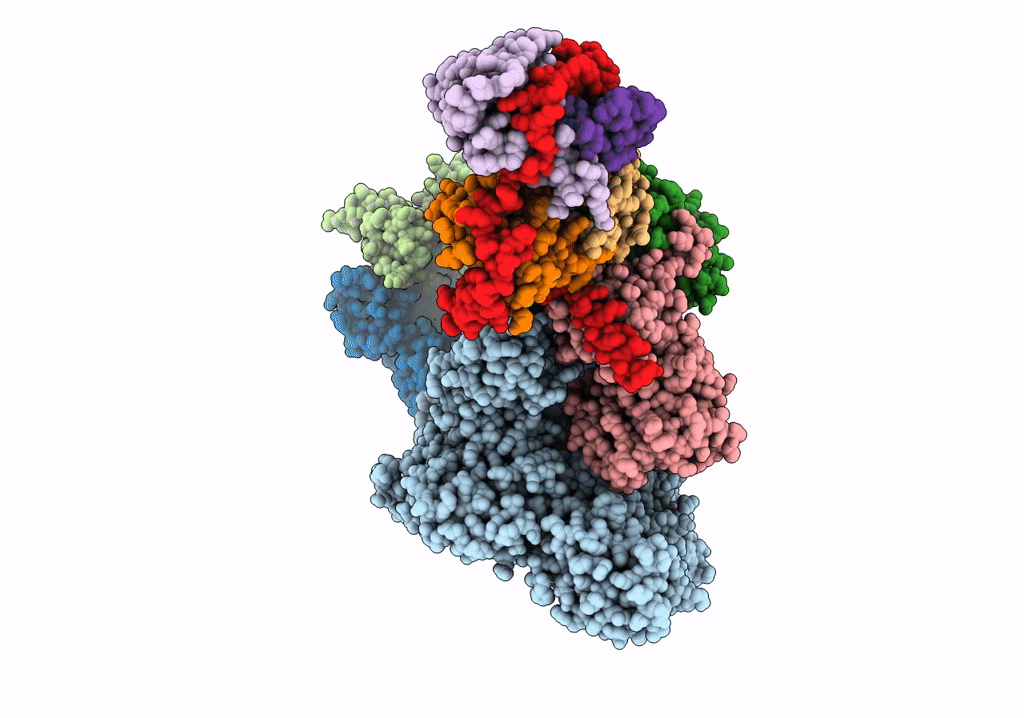 7T3B image