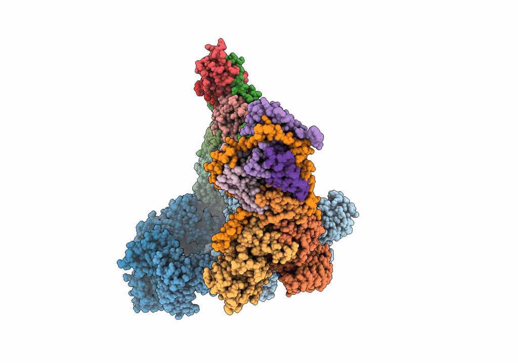 7T3C image