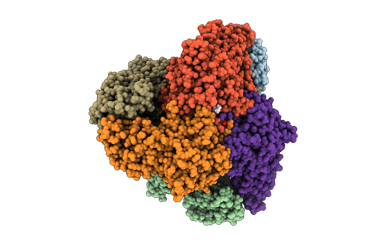 7T3V image
