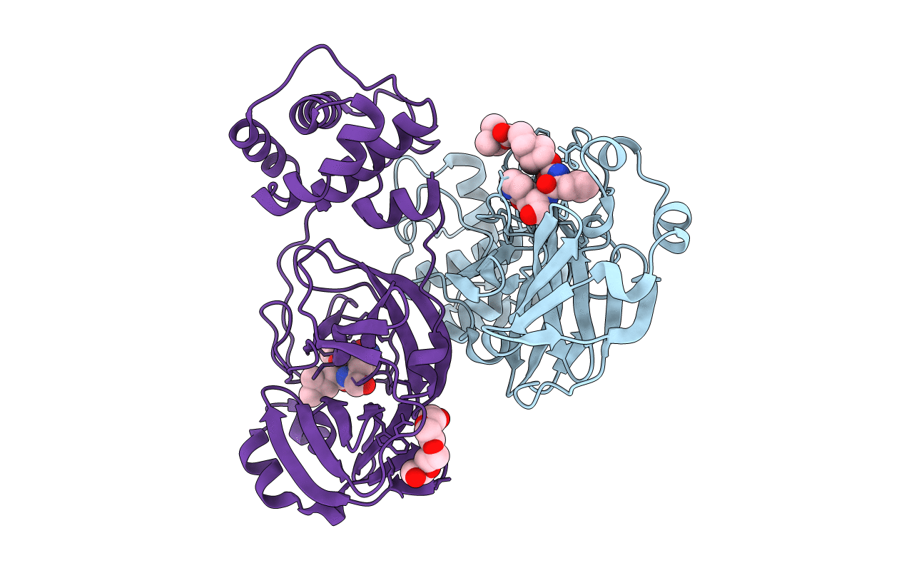 7T45 image