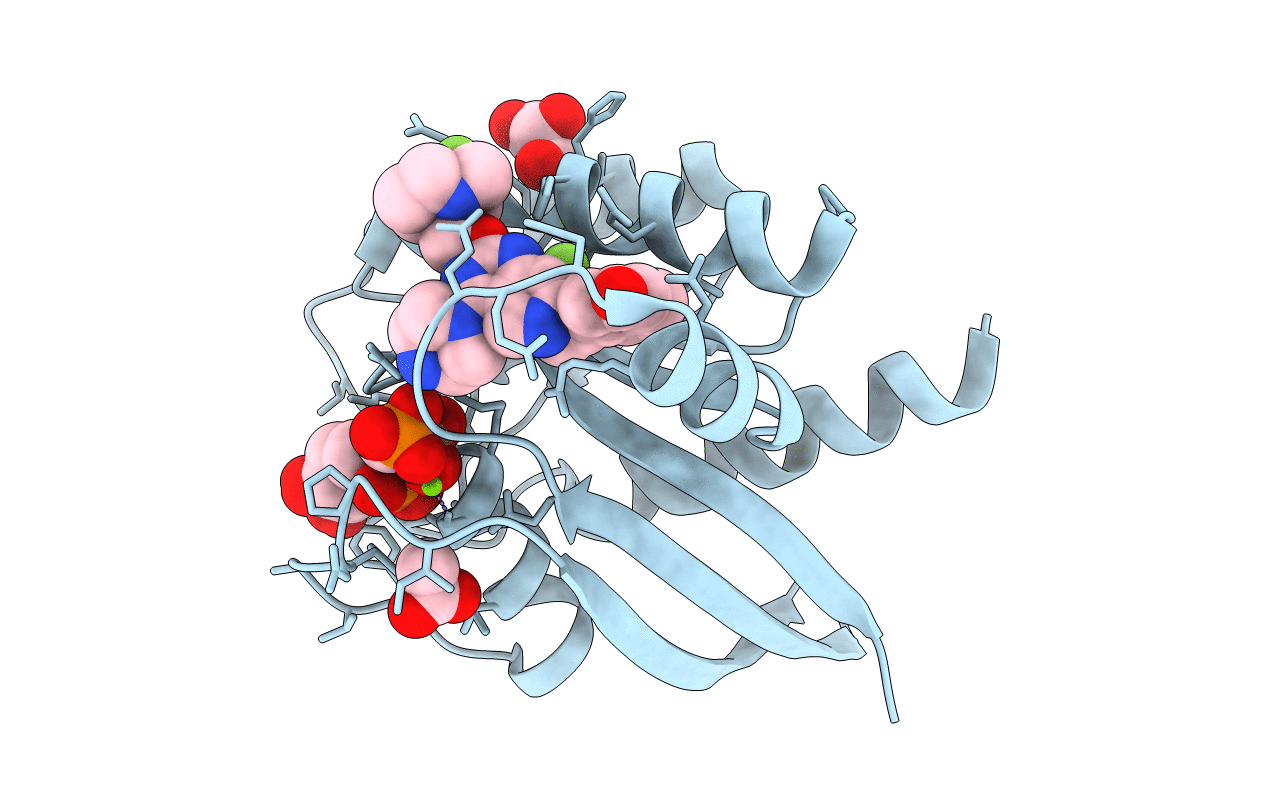 7T47 image
