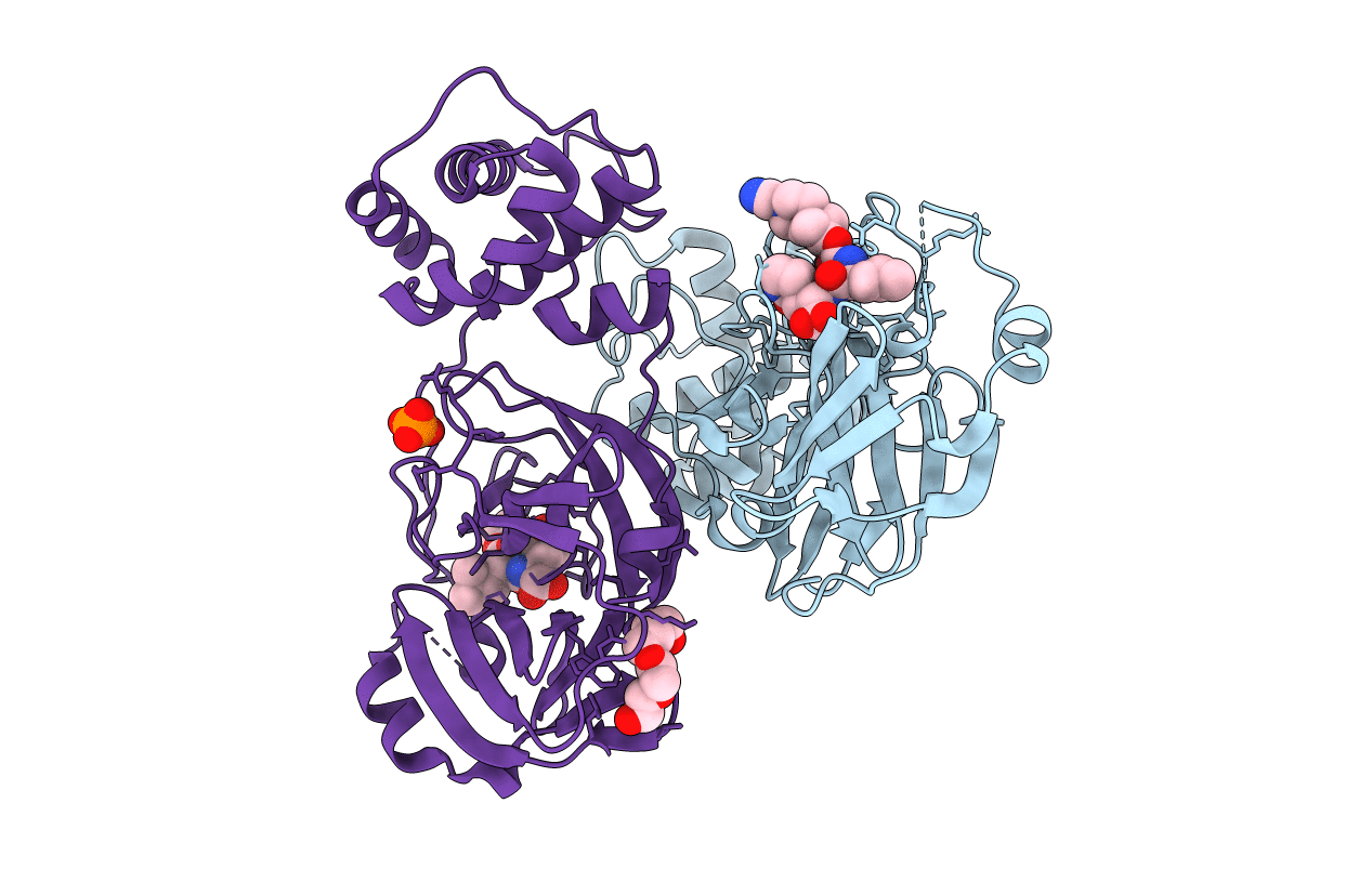 7T4A image