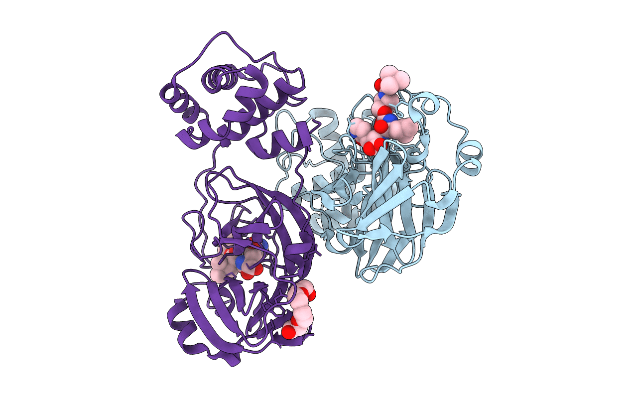 7T4B image