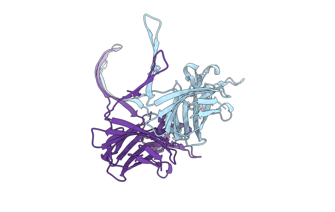 7T4D image