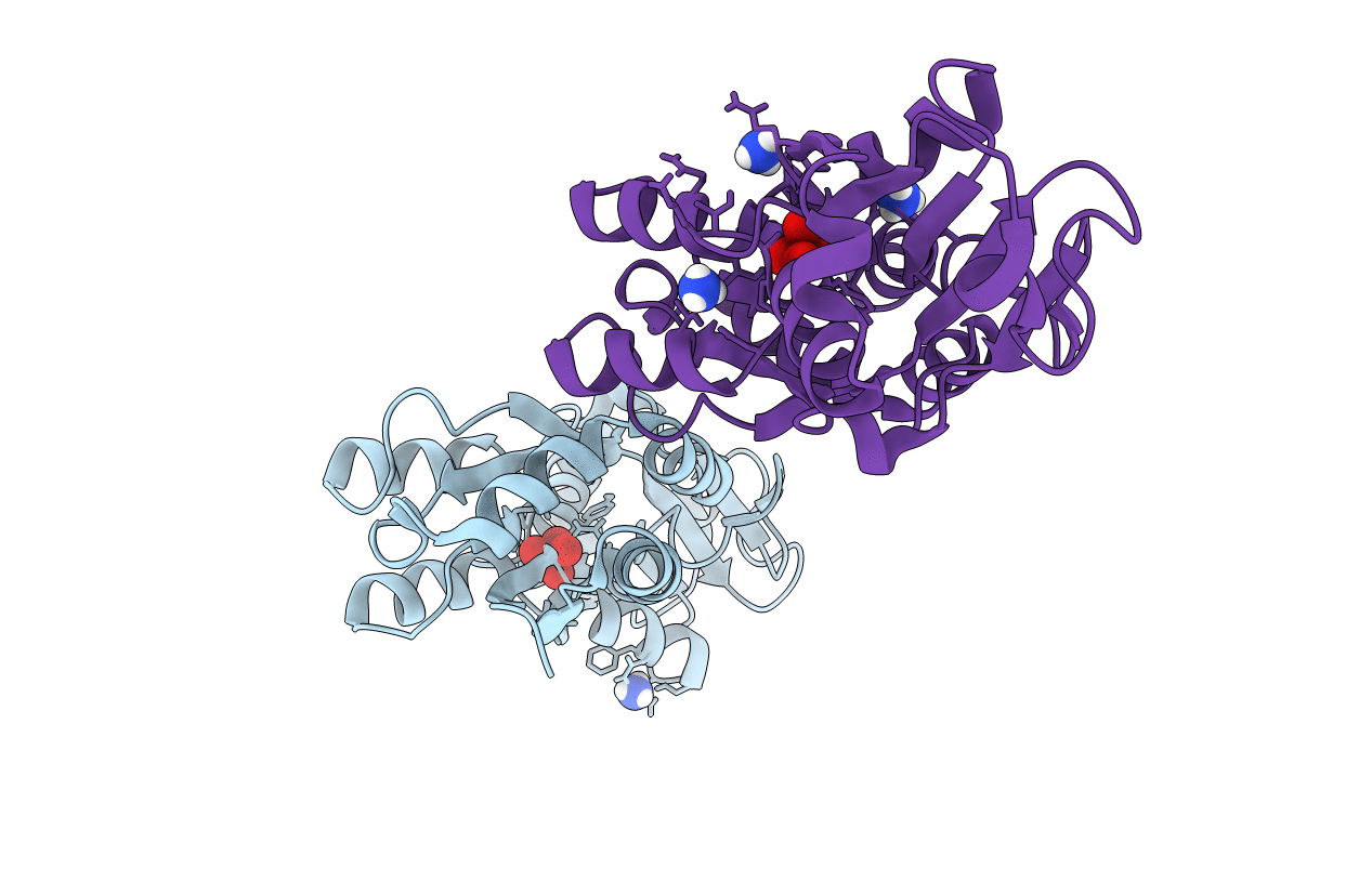7T5A image