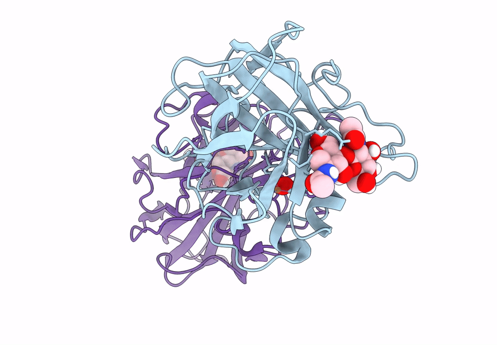 7T5D image