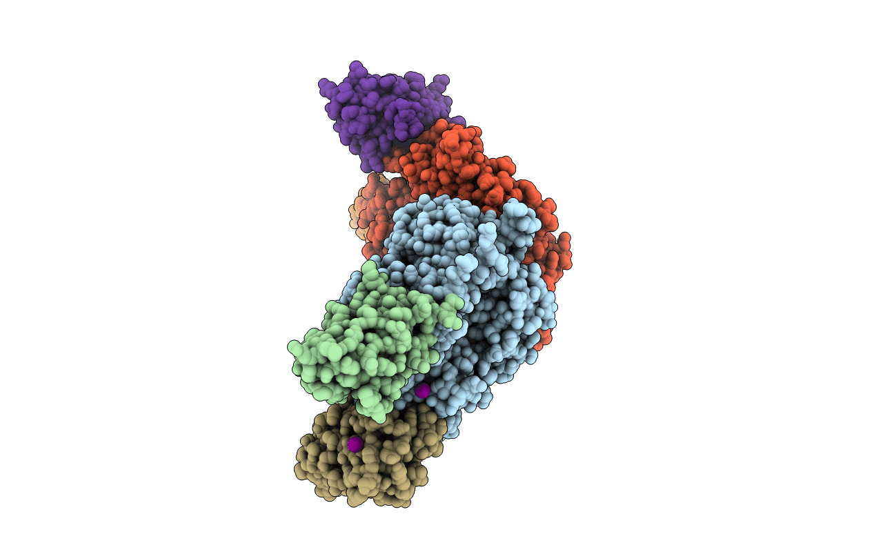 7T5F image