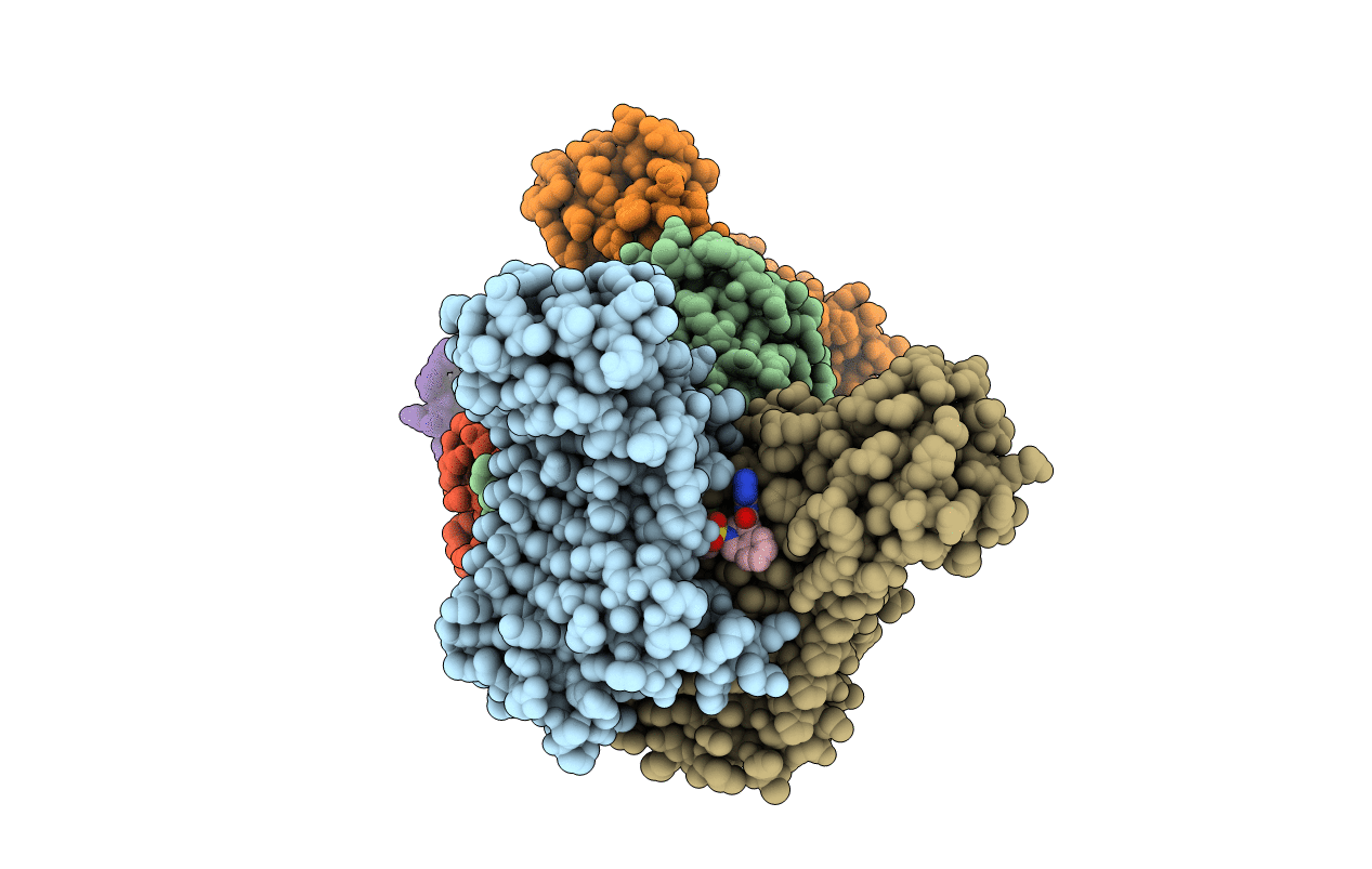 7T5Z image