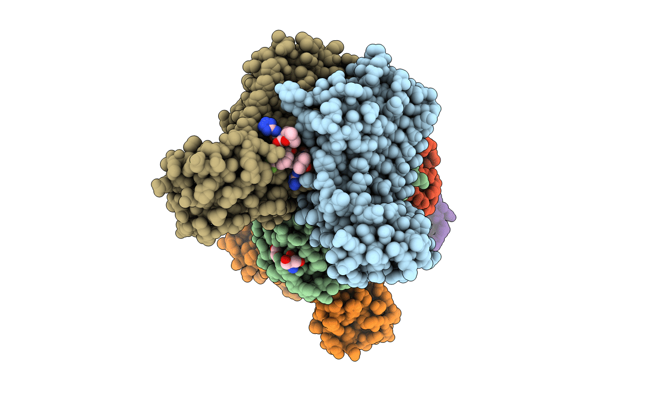7T60 image