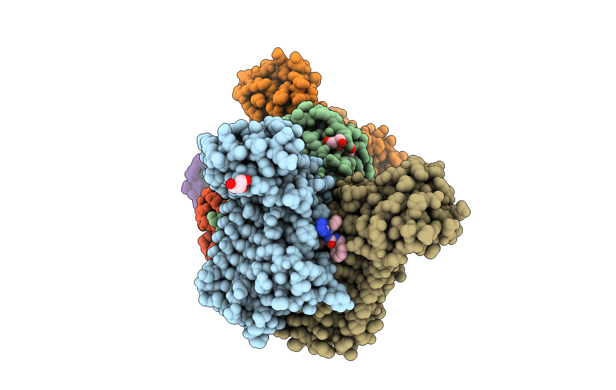 7T61 image
