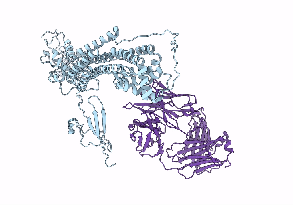 7T62 image