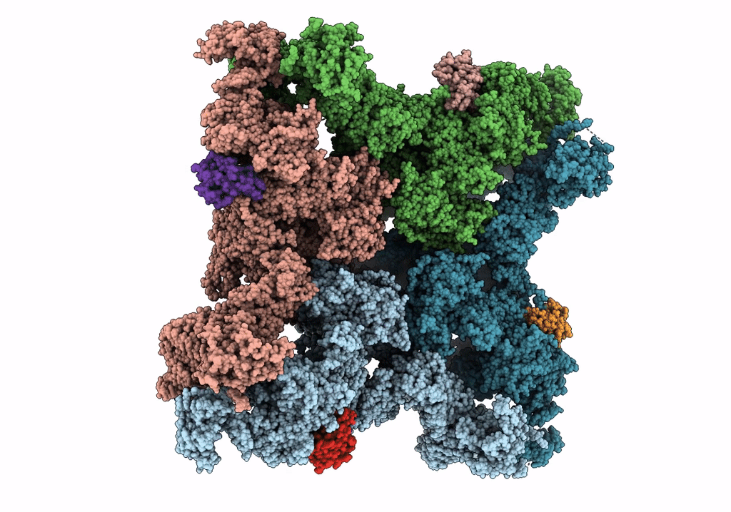 7T65 image