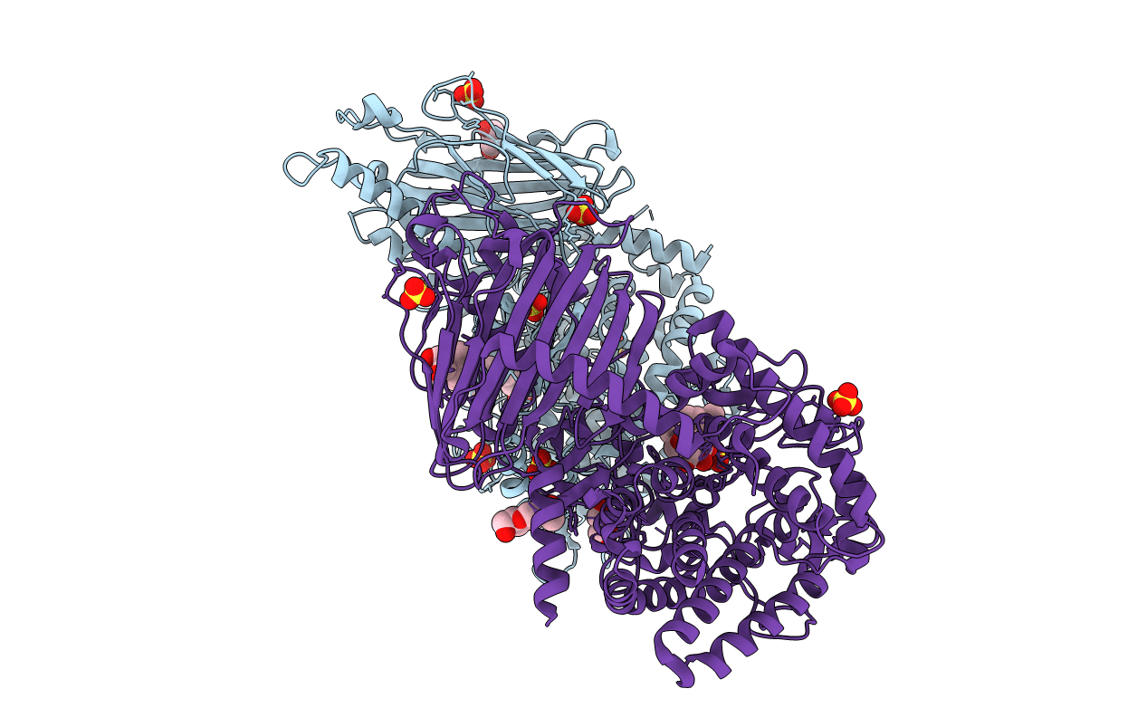 7T66 image