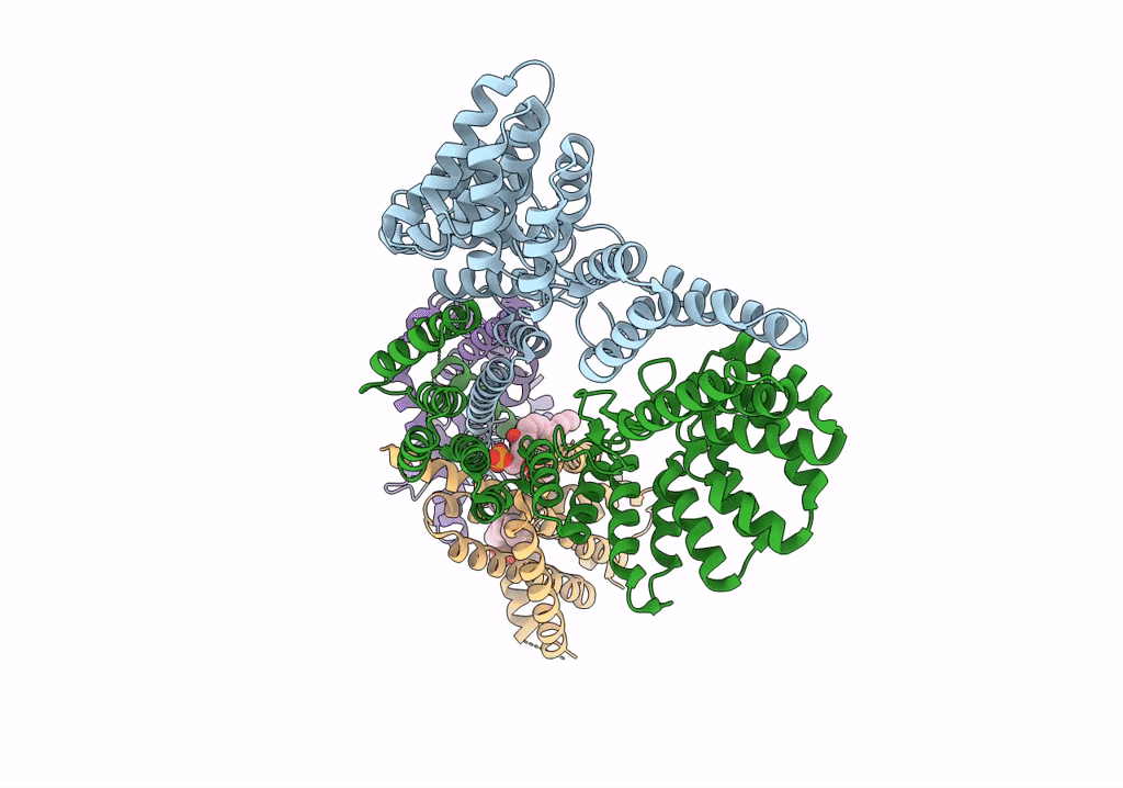 7T6D image