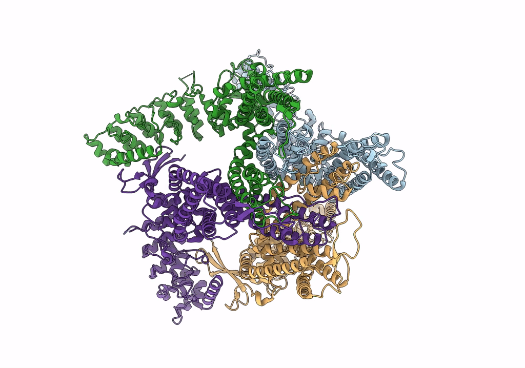 7T6J image