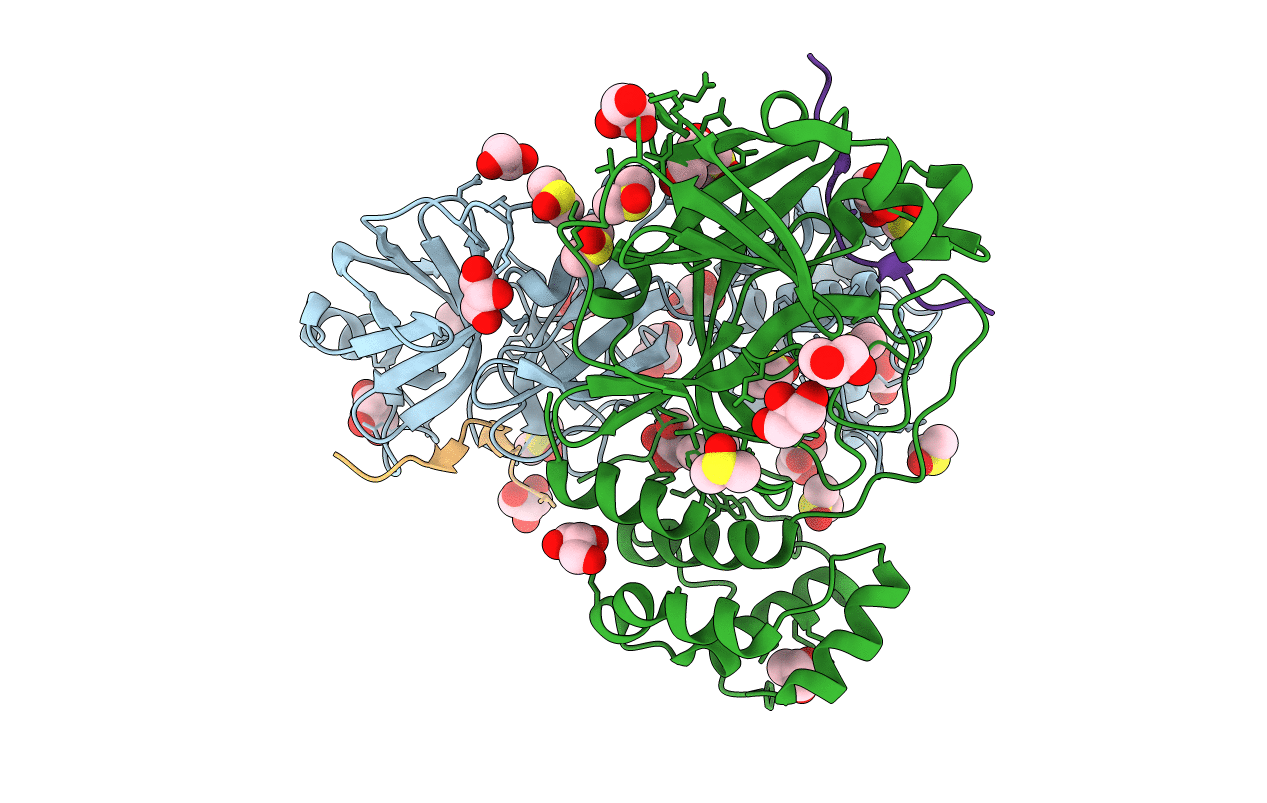 7T70 image