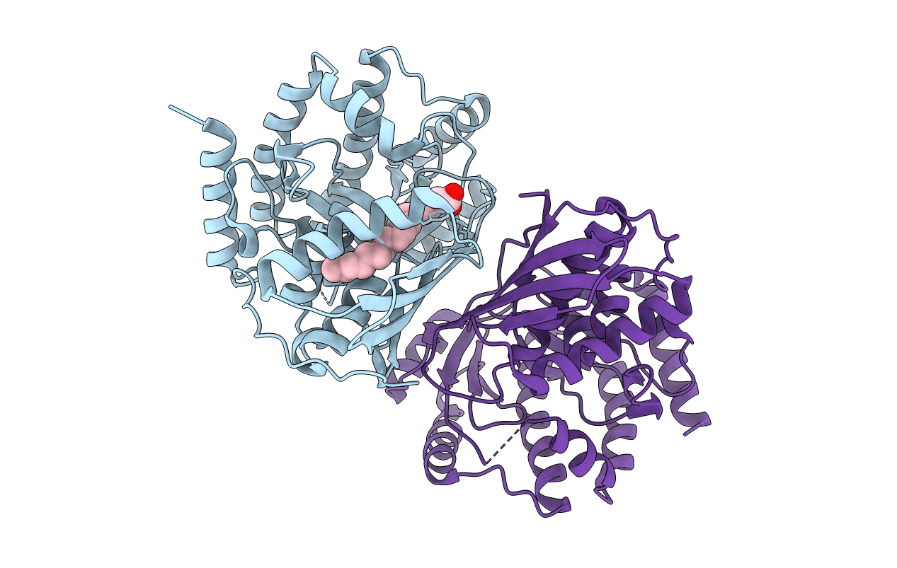 7T71 image