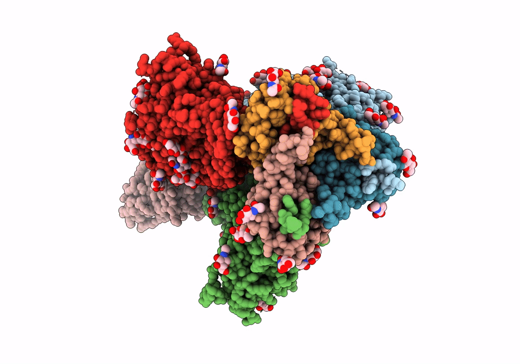 7T73 image