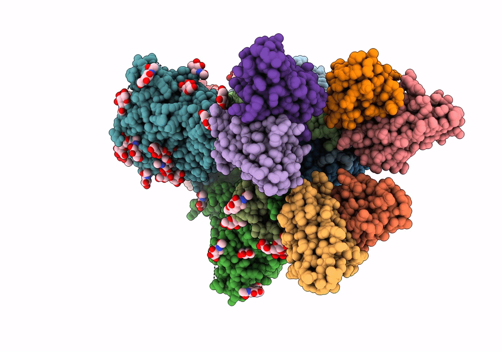 7T74 image