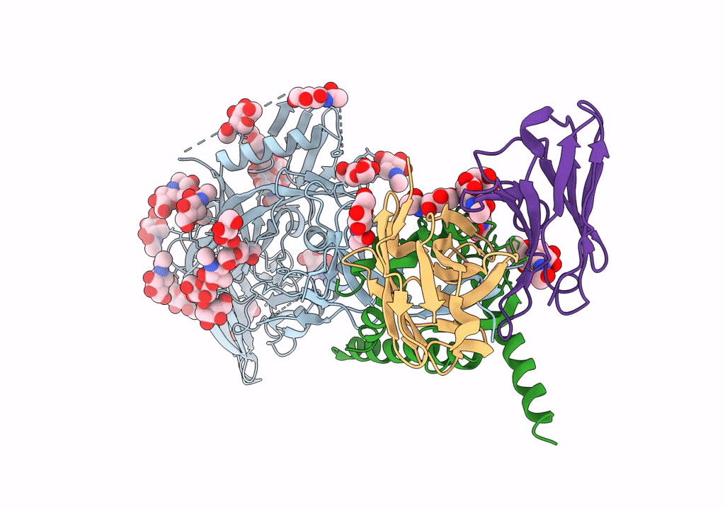 7T75 image