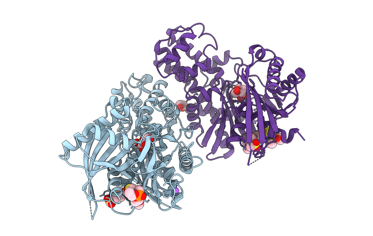 7T78 image