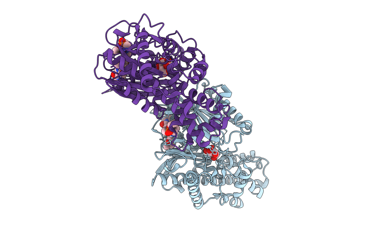 7T79 image