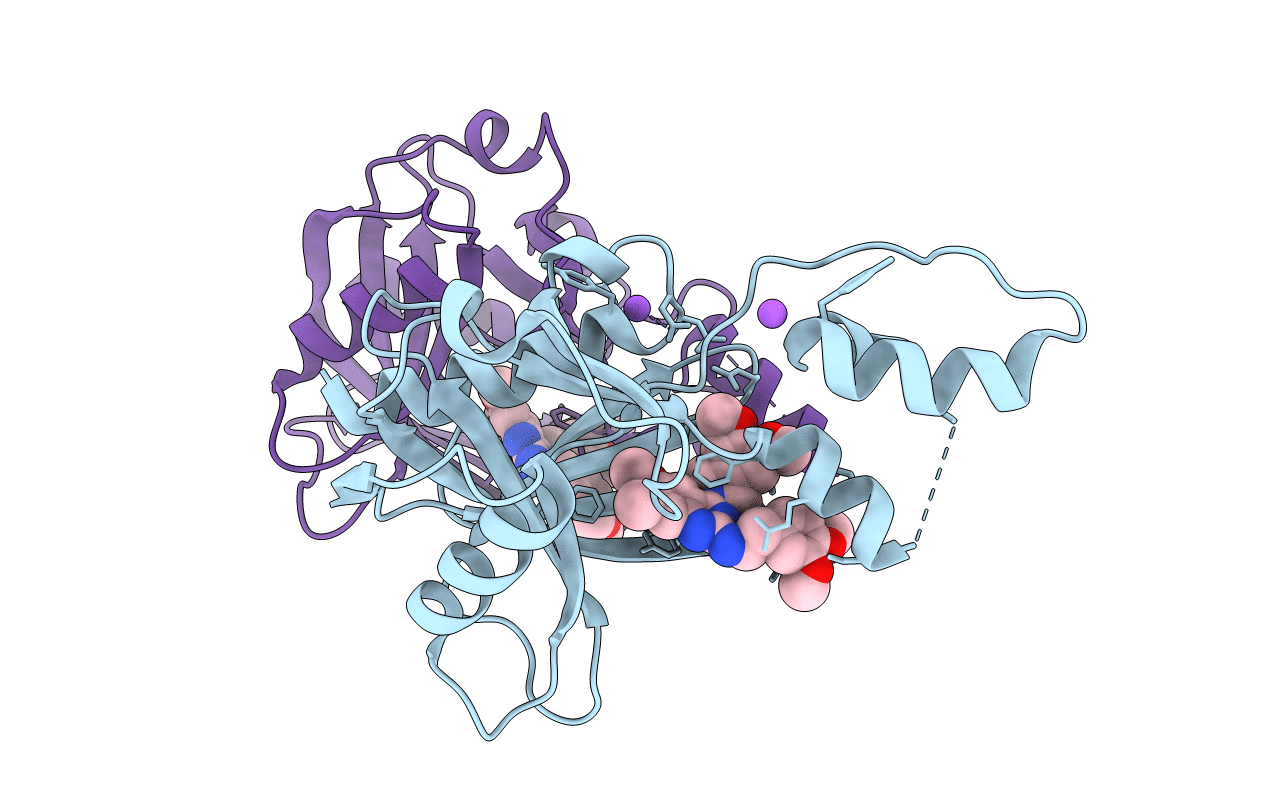 7T7H image