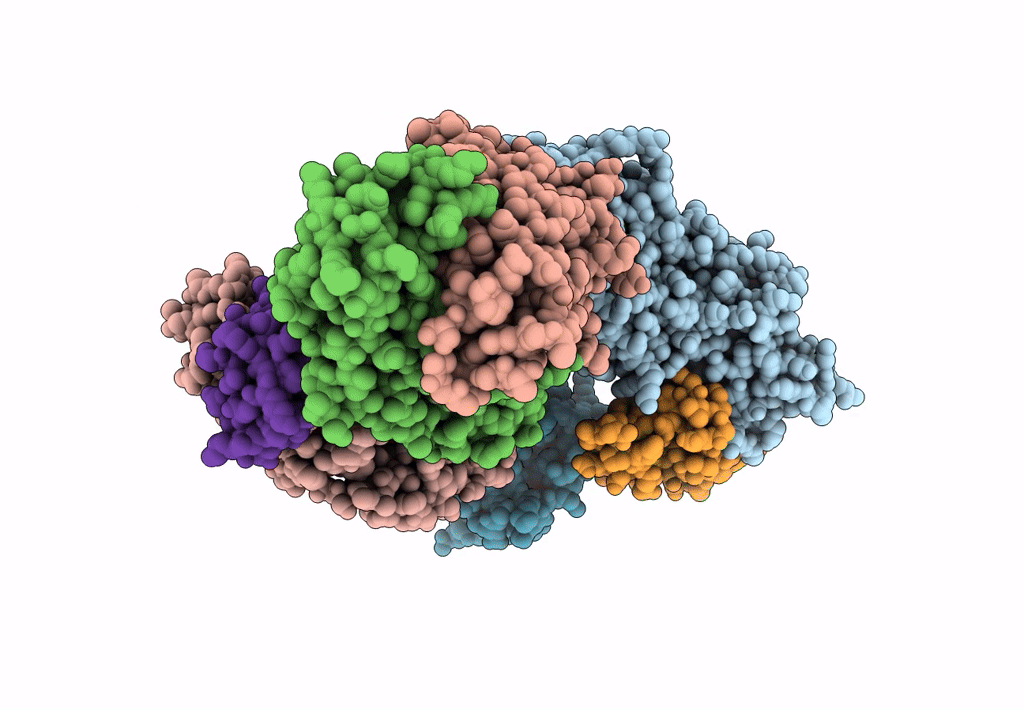 7T82 image