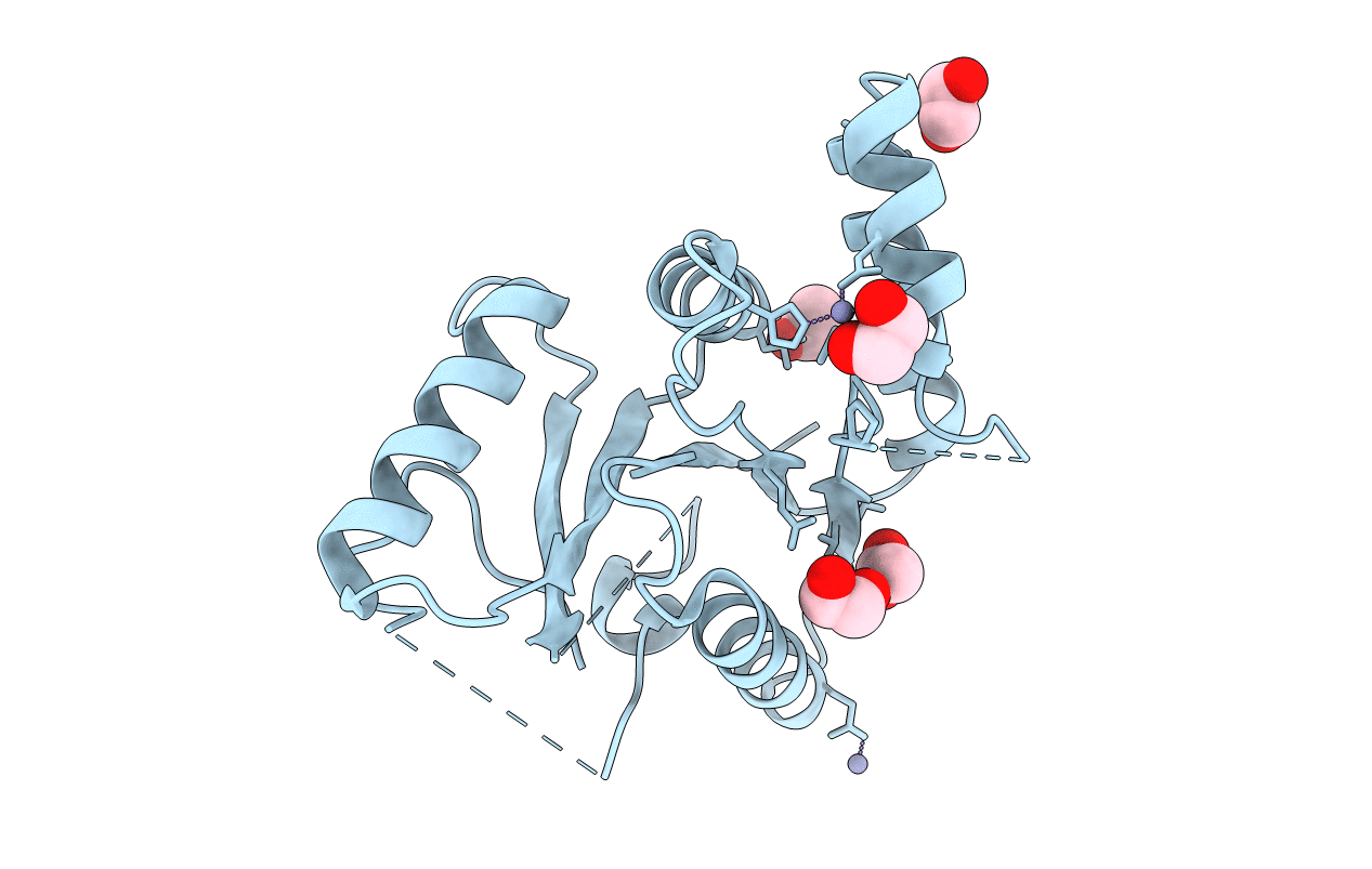 7T85 image