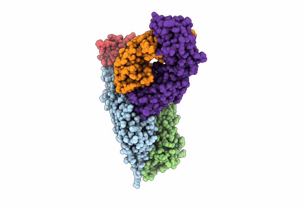 7T87 image