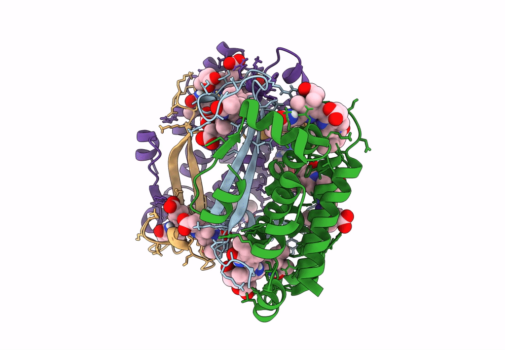 7T89 image